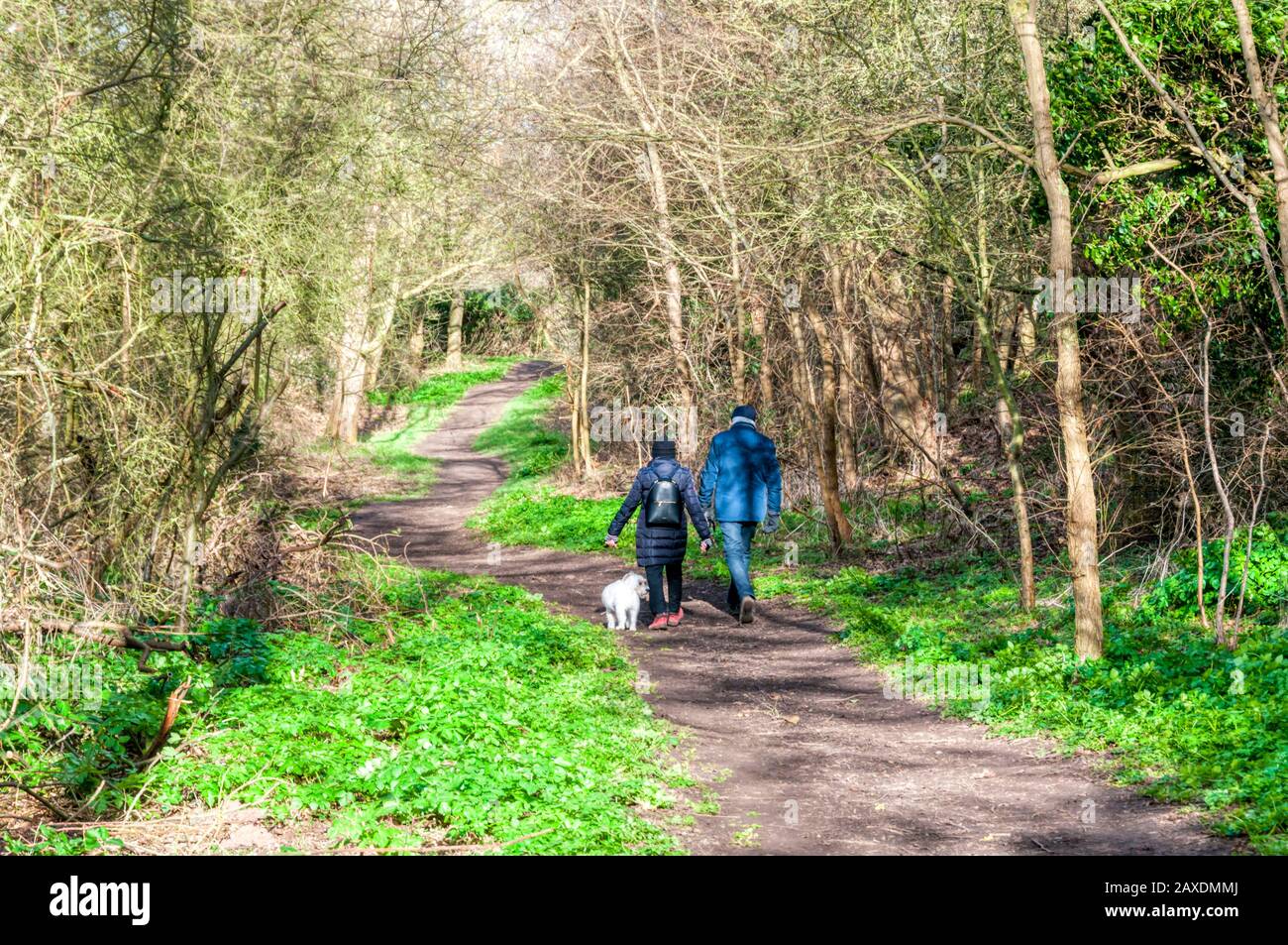 Couple walking their dog on a wooded path on a bright February day. Stock Photo