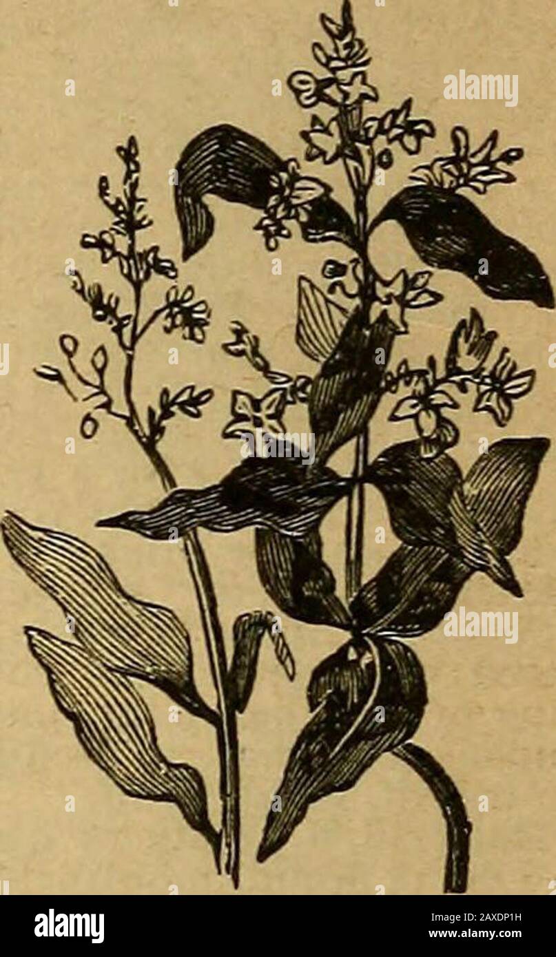 Sue webster hires stock photography and images Alamy