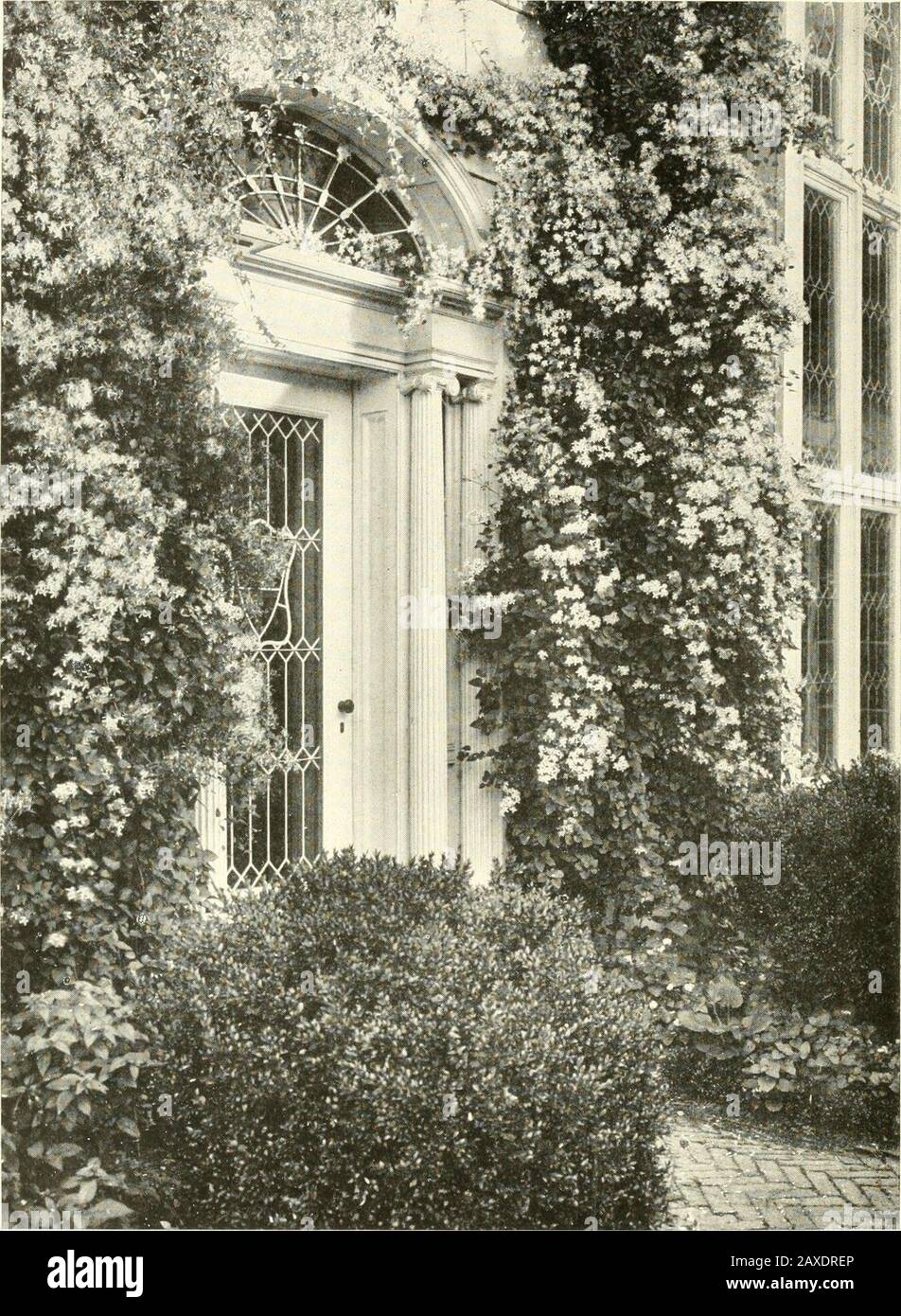The livable house, its garden . APPROPRIATE PLANTING lOR AGARDEN DOORWAY House of Mr. James C. Breese, at Southampton, Long Island.McKim, Meade and White, Architects %^^^^^^^^^^^^-^^-^^^^^^^^^^^^^^^^k^^^^^M THE LIVABLE HOUSE Its Qarden hy Ruth Dean L^a fid scape Ai^chitect h c i n g V o L u M E 2 ofthe L i V a hie House .V c r i c se (111 (? d h  -A V »i ci r 6/J/ h // /? r // ^ Moffat ard am/ Coinpatix T20 West J2nd Street, Ne- ^ork M C MXVI I [^^ ^^^^^^^^^^^^^-^^^l^^^l^l^^^^^^^^^livablehouseitsg01dean Stock Photo