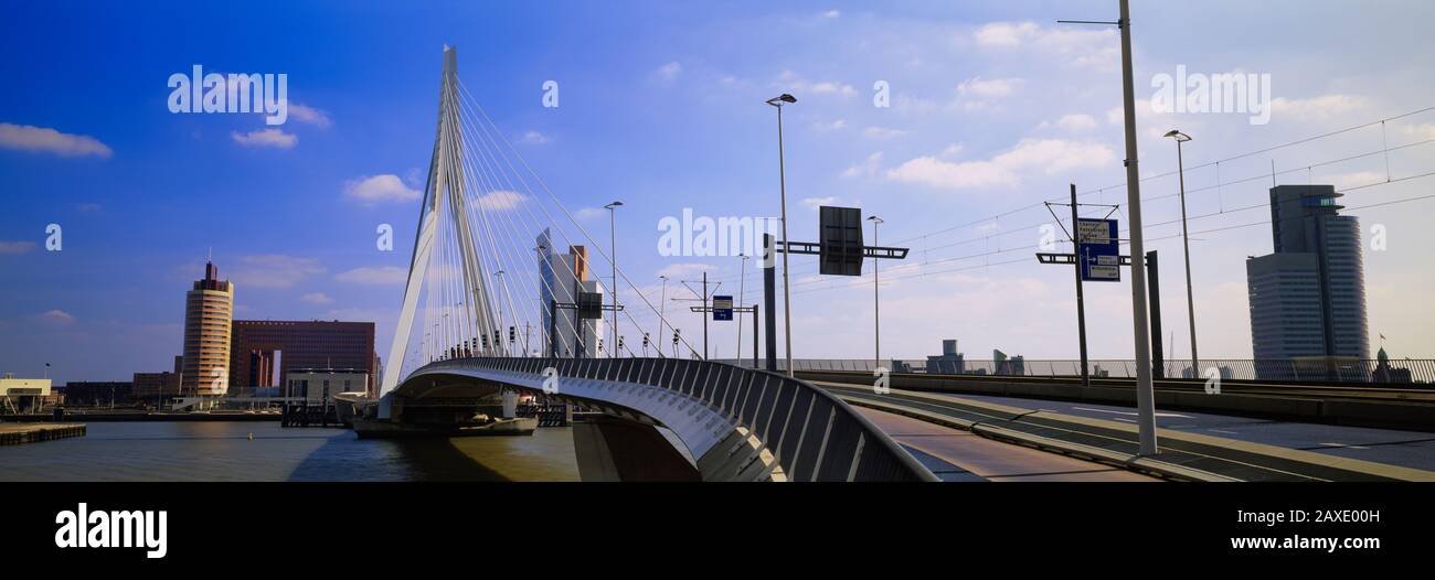 Bridge across the river, Erasmus Bridge, Rotterdam, Netherlands Stock Photo