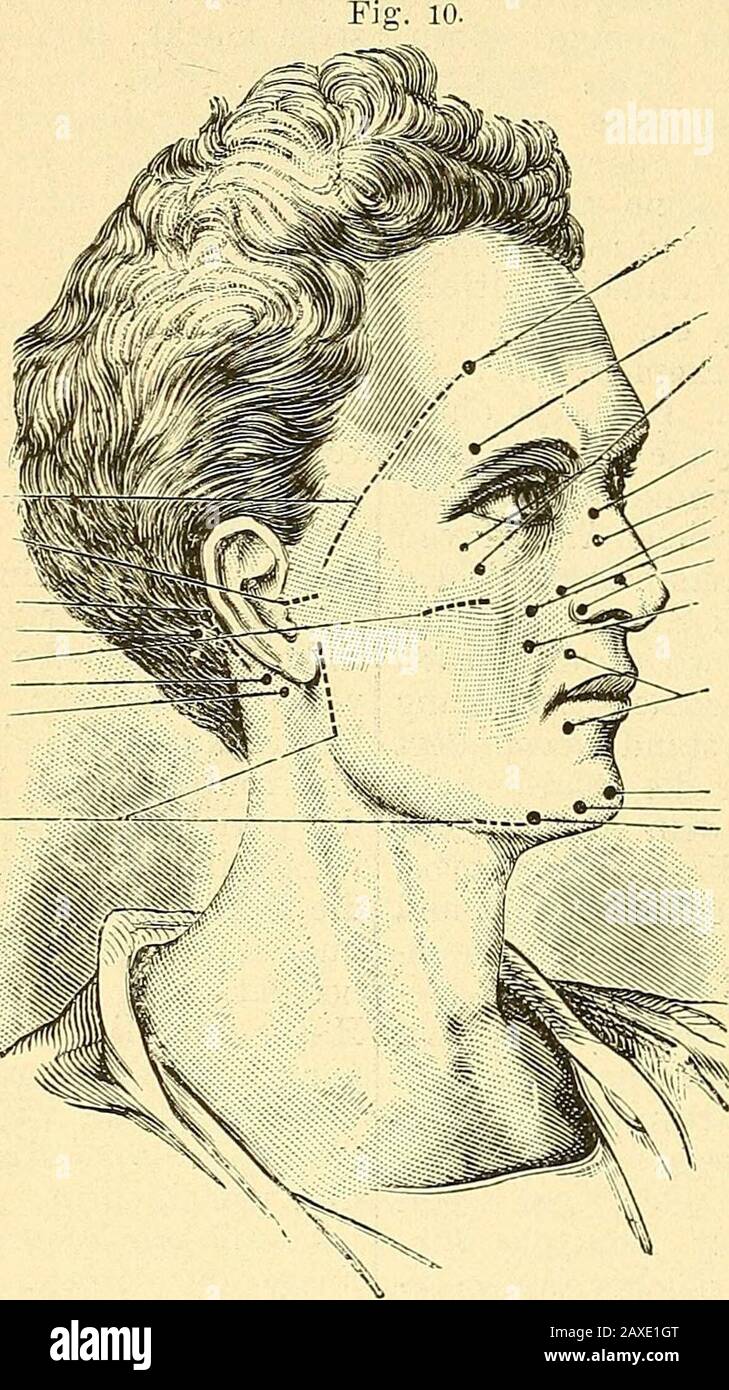 Get Zu koennen oder zukoennen Free