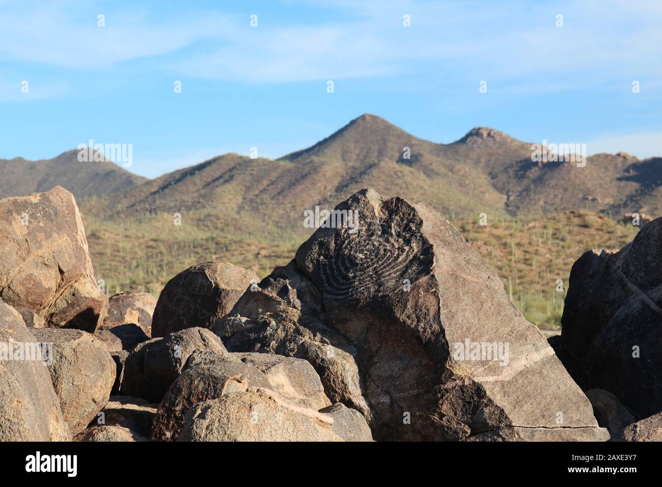A petroglyph carved into a rock on top of Signal Hill on the Signal