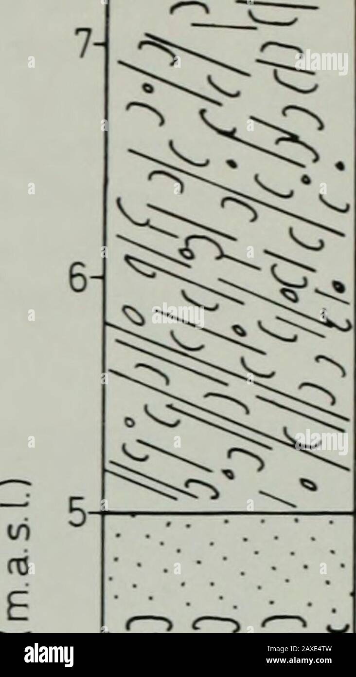 Proportion 1 Hi Res Stock Photography And Images Page 12 Alamy