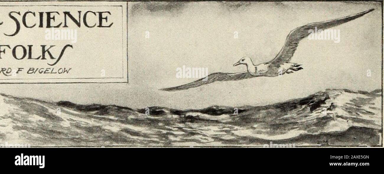 StNicholas [serial] . THE ALBATROSS AS AN EMBLEM OF GOOD LUCK.The