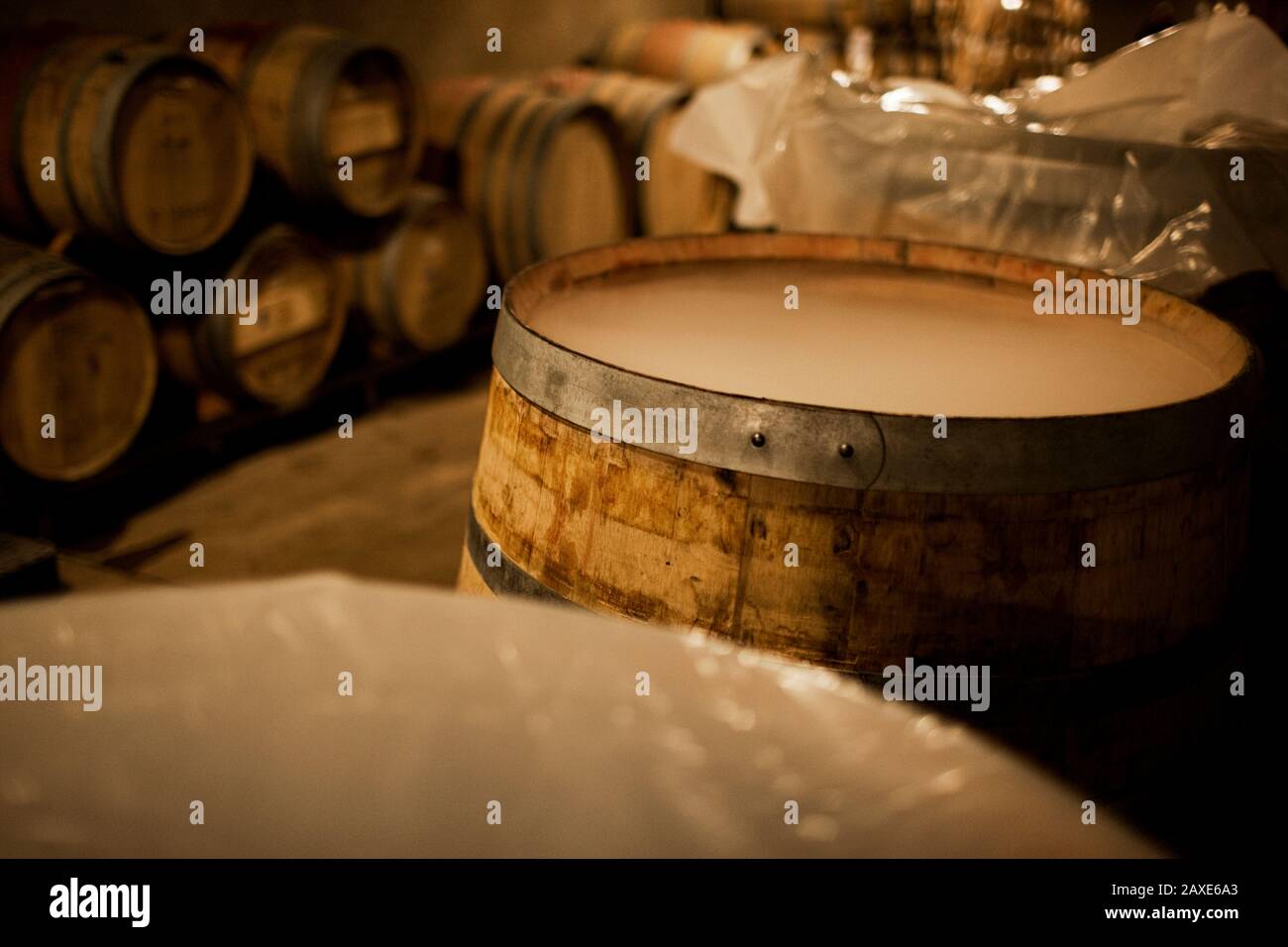 Barrels of wine in storage room Stock Photo Alamy
