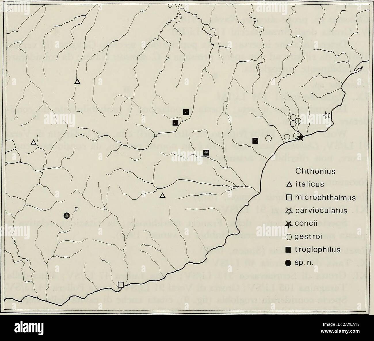 Annali del Museo civico di storia naturale Giacomo Doria . stribuzione europea e forse maghrebina. giànota anche di cavità della Liguria centro-orientale, della Lombardia, dellaToscana e del Lazio ^Cardini, 1980;. FAUNA CAVERNICOLA ALPI LIGURI 225 Chthonius (s. str.) parvioculatus Beier, 1930XI. Tana do Morto 102 Li/SV Specie troglobia nota, oltre che di questa stazione (fig. 8), solo di pochecavità della Liguria centro-orientale e della Lombardia. Secondo Franciscolo (1955) probabilmente è da riferire a questa specieanche la popolazione della Grotta della Madonna dellArma 103 Li/IM,citata com Stock Photo