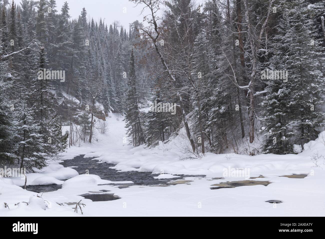 Cross River near Grand Marais, January, Cook County, Minnesota, USA, by Dominique Braud/Dembinsky Photo Assoc Stock Photo