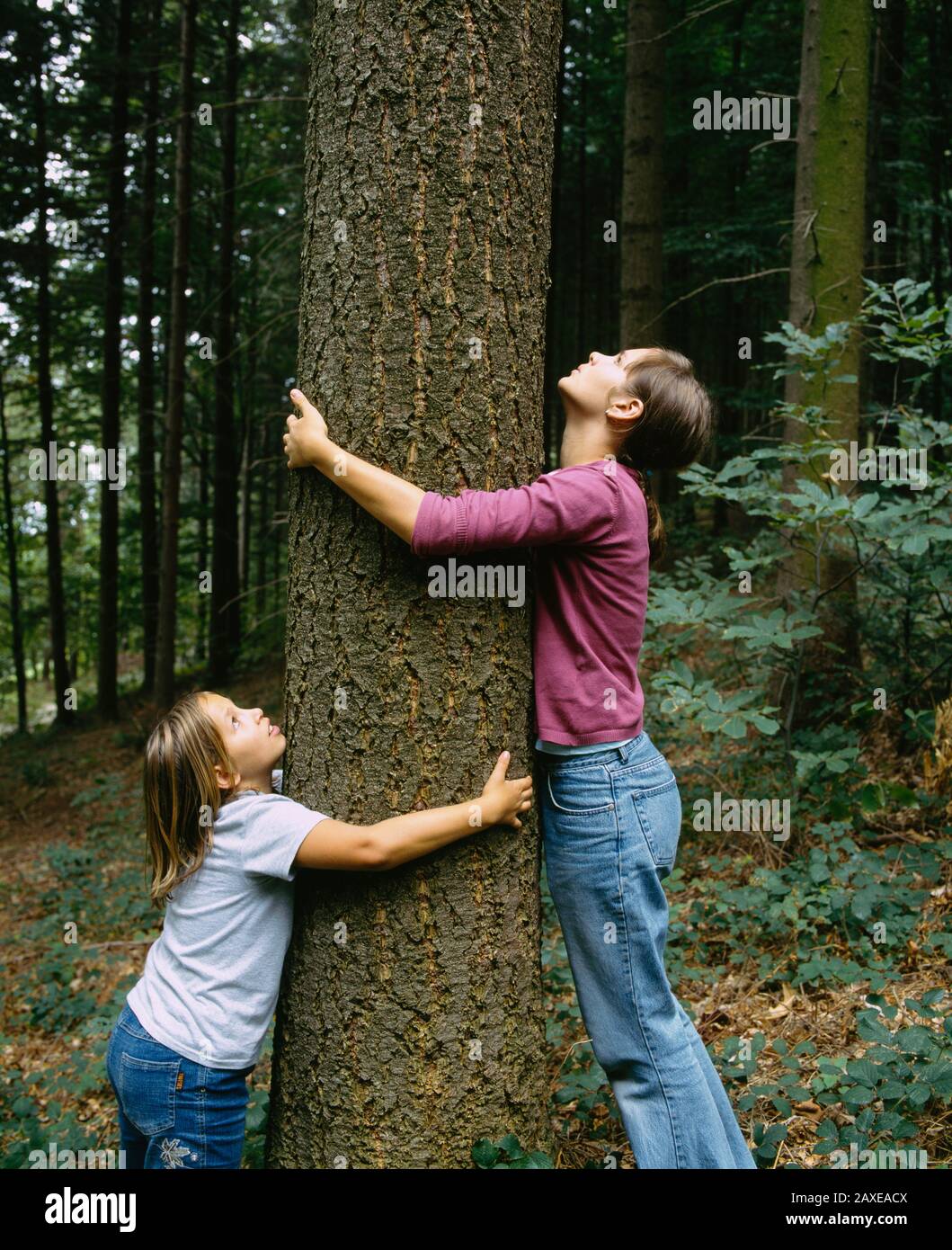 Side profile of a girl and a teenage girl hugging a tree, Germany Stock Photo