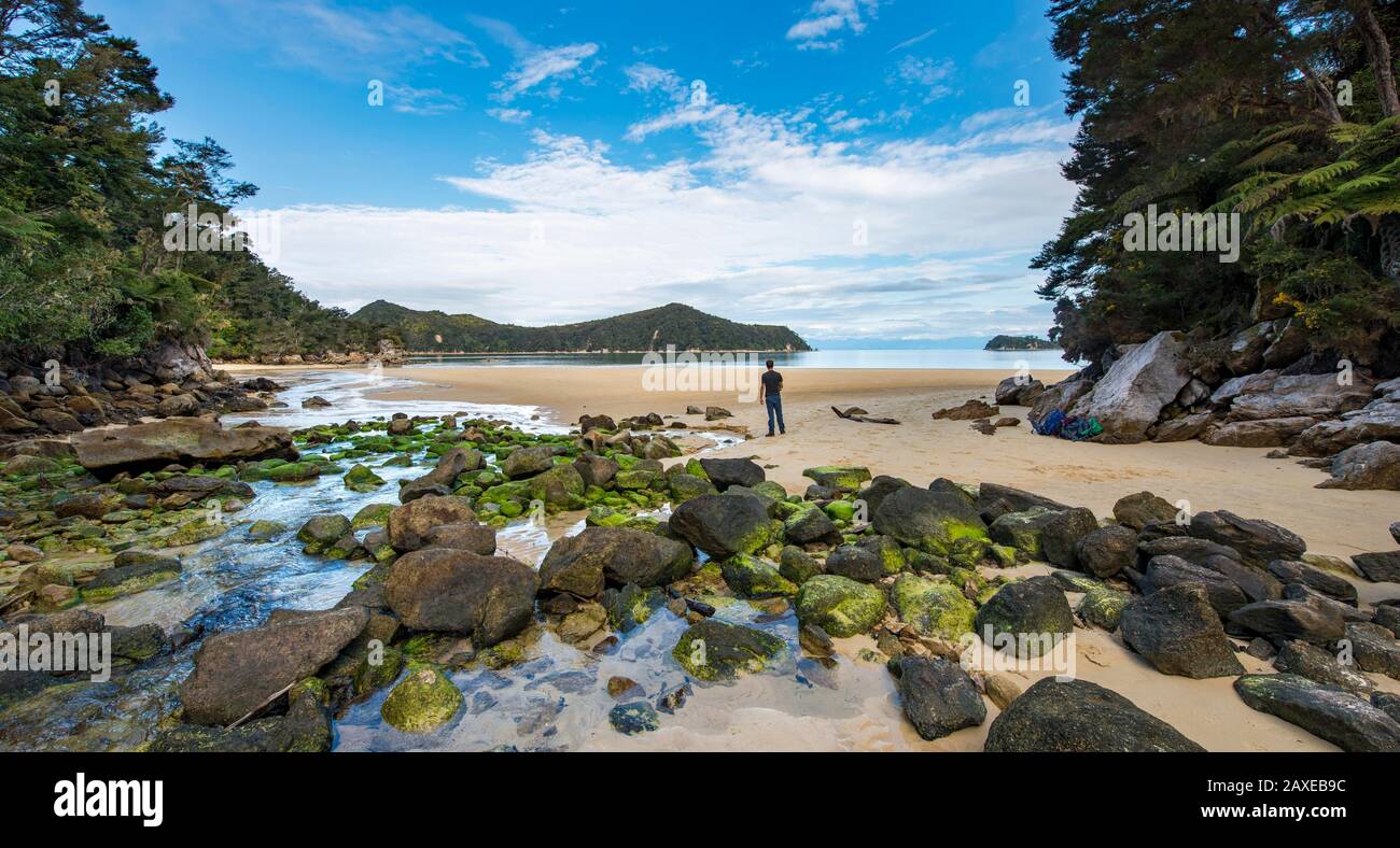 Young man standing on beach with moss-covered rocks, Stillwell Bay, Bach Lesson Creek, Abel Tasman Coastal Track, Abel Tasman National Park, Tasman Stock Photo