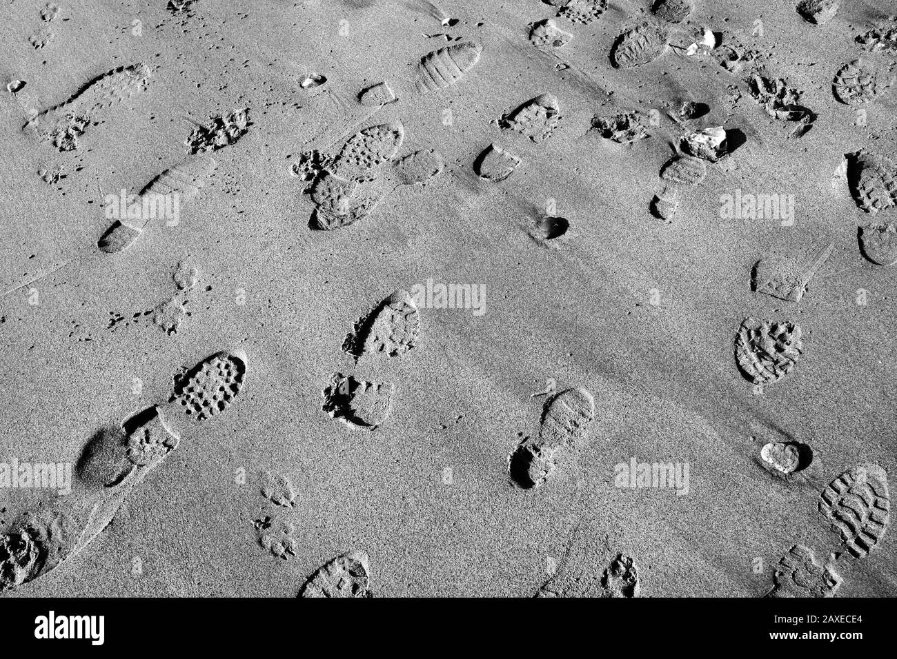 Footsteps in the sand Stock Photo
