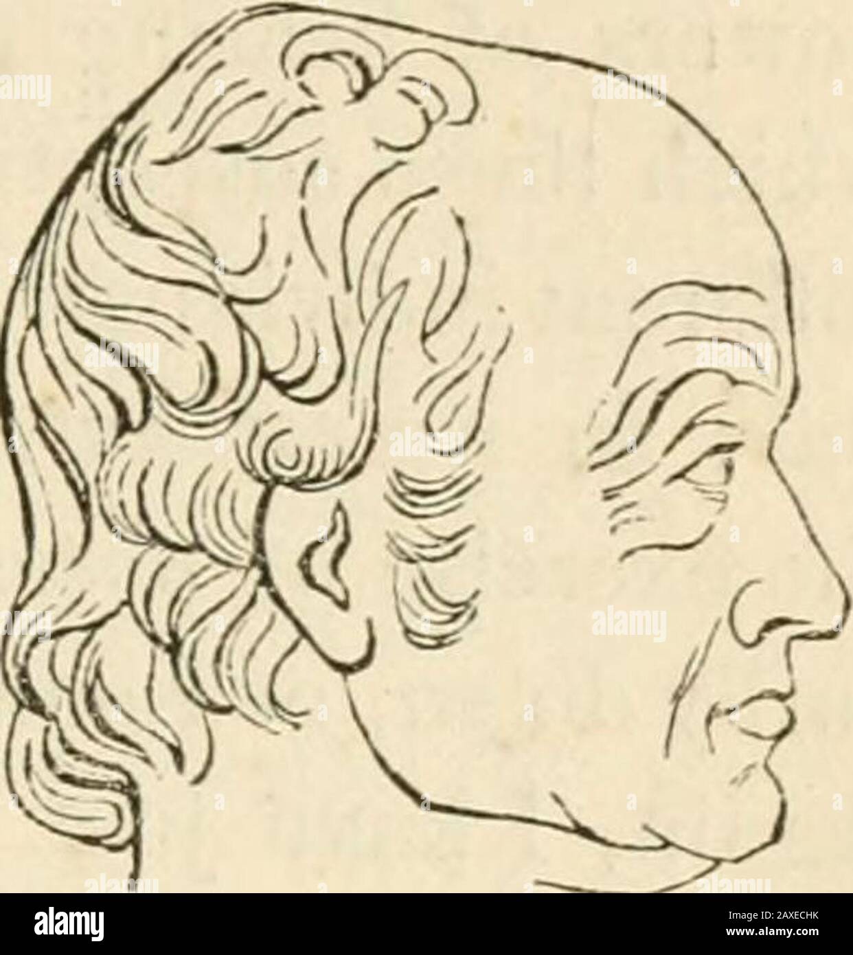 Lectures on phrenology, including its application to the present and prospective condition of the United States . of the Hindoo in the regions of destructiveness and com-baliveness. Contrast these three heads in the region offirmness : there is a difference of more than an inch. Con trast this head of an idiot with that of Dr. Gall: how vast the dif- MiCT ference !— We evidently need not trouble ourselves about very minuteshades. As to authority, the best is on our side. Magendie saysthat the only way of estimating- the volume of the brain ina living person, is to measure the dimensions of the Stock Photo
