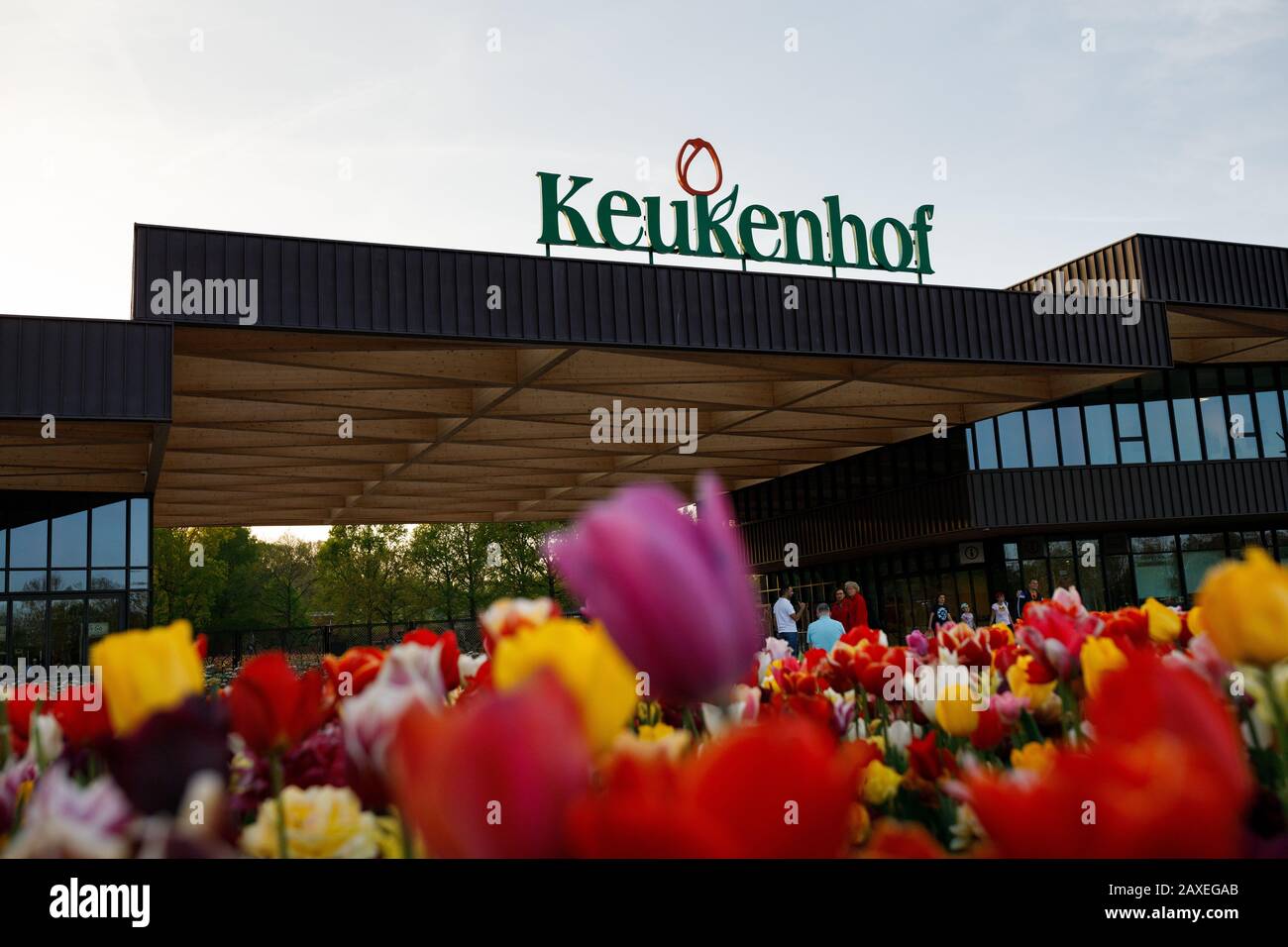 Keukenhof flower parc entrance, tulips Blooming in the foreground