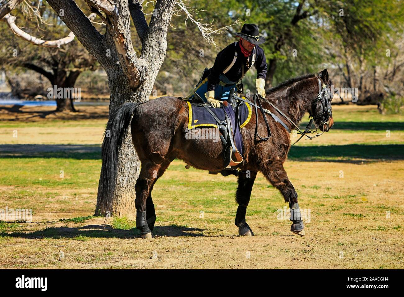 Renactor dressed in the uniform of the 1880s US Army soldier in the 5th Cavalry on horseback at Fort Lowell, Tucson AZ Stock Photo