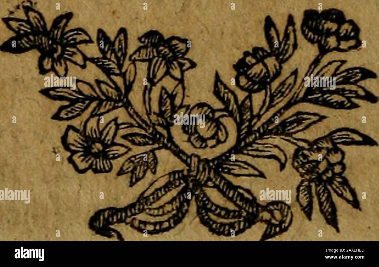Tentamen florae Gedanensis methodo sexuali adcommodatae .  petala quinque ovata, concava. Stam^{iibul-aia, antherae rotundae. Pift. ftyli ereQ:o-re-ficxi, {lignmta crafliuicula. Peric, capiula ovata,unilocularis, quinquevalvis. 5&gt;/«. plurima, mar-gine cinQa, . •{• I. Spergula foliis verticilktis, floribus iecandris. L.AHine Sperg«la difta inajor. B. Folia filirbrmia,caules raniofi in plurcs pedunculos divifi, floribusalbis majuscplis terminatos; in pratis )wUX ^iwf([;otrlant), Auguft. •f 2, Sperguh foHis oppofitls fuhulatis laevihus, caulihusJtmplicibus, L- Aliinc nodofa germanica. B. Po Stock Photo