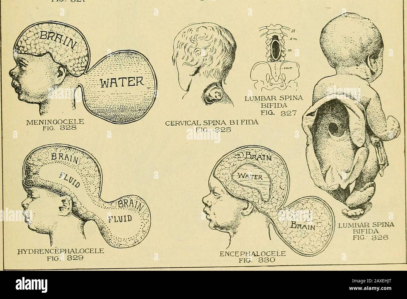 The practice of obstetrics, designed for the use of students and ...