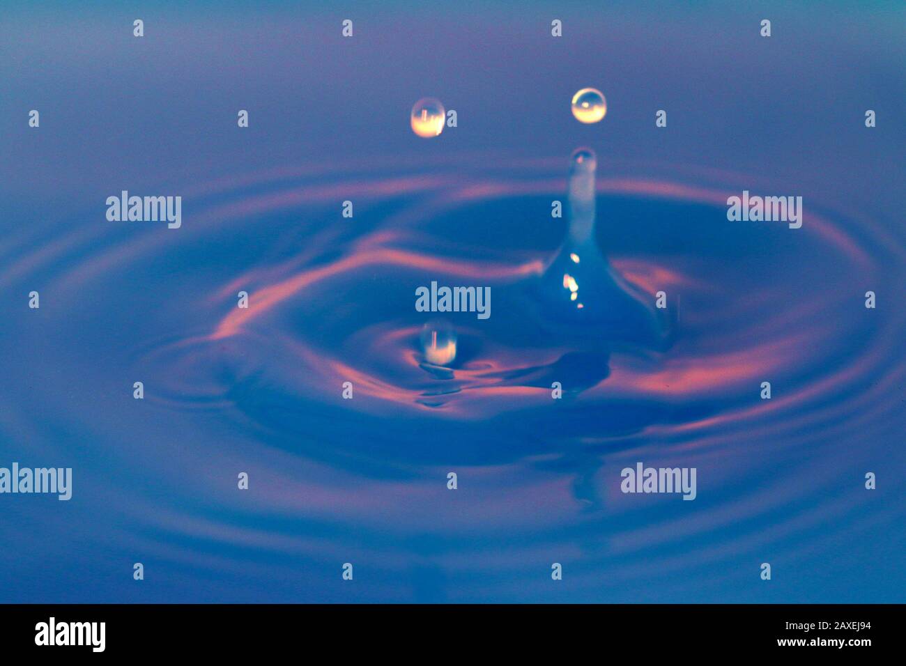 Water drops hitting surface of water Stock Photo Alamy