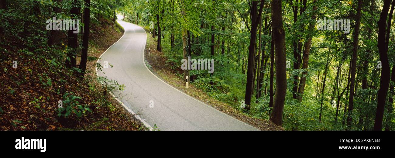 Empty road running through a forest, Stuttgart, Baden-Wurttemberg, Germany  Stock Photo - Alamy