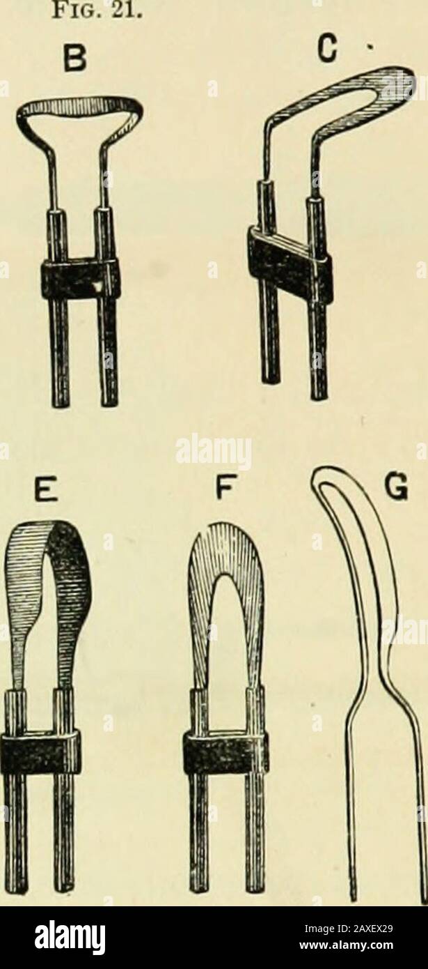 Page 8 Faradic High Resolution Stock Photography And Images Alamy