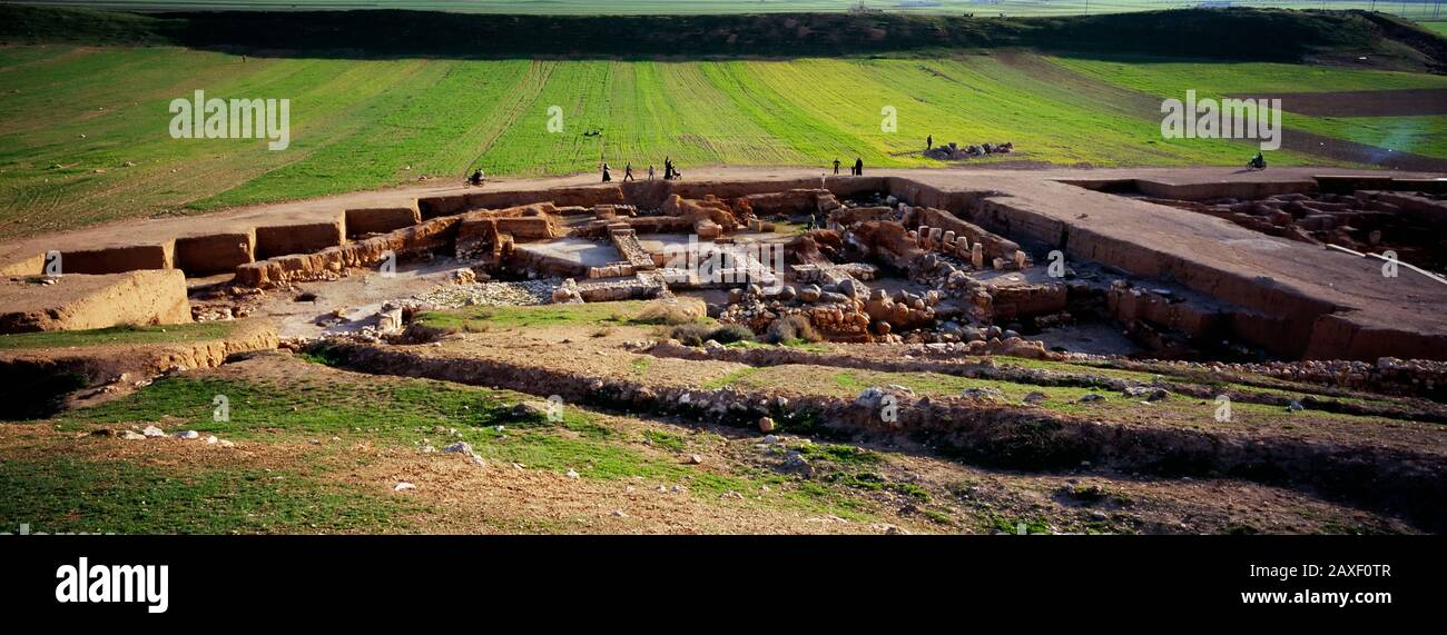 Old ruins on a landscape, Ebla, Syria Stock Photo