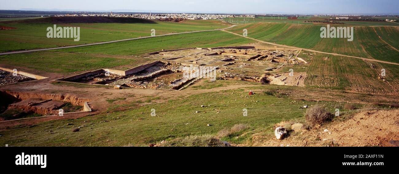 Old ruins on a landscape, Ebla, Syria Stock Photo