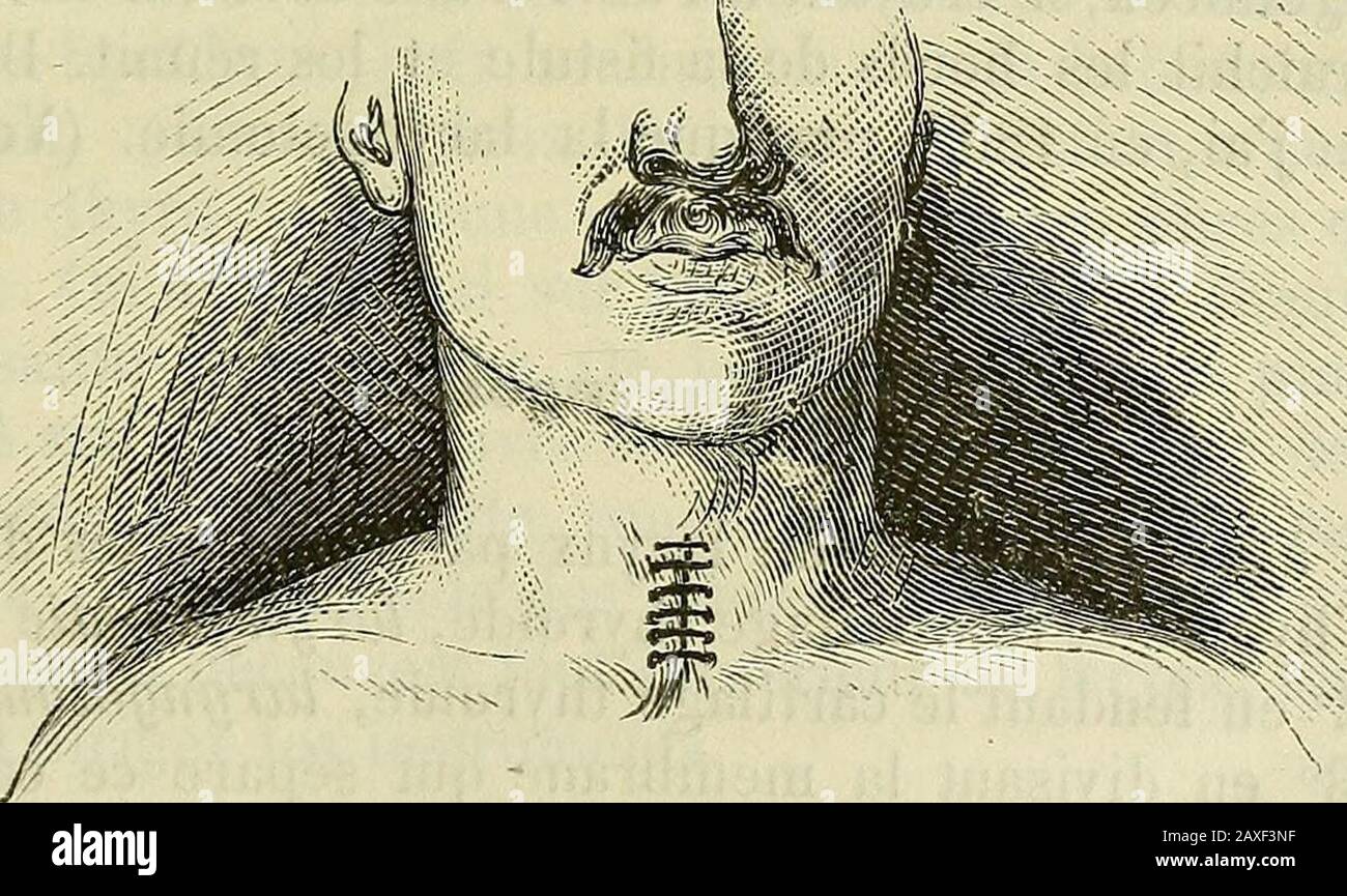 Page 66 At 522 High Resolution Stock Photography And Images Alamy