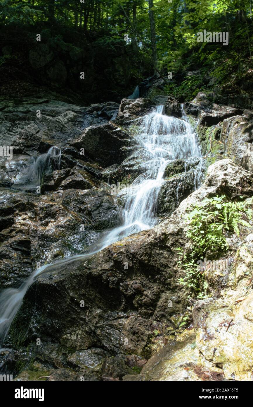 Vertical shot of a small waterfalls in the woods Stock Photo - Alamy
