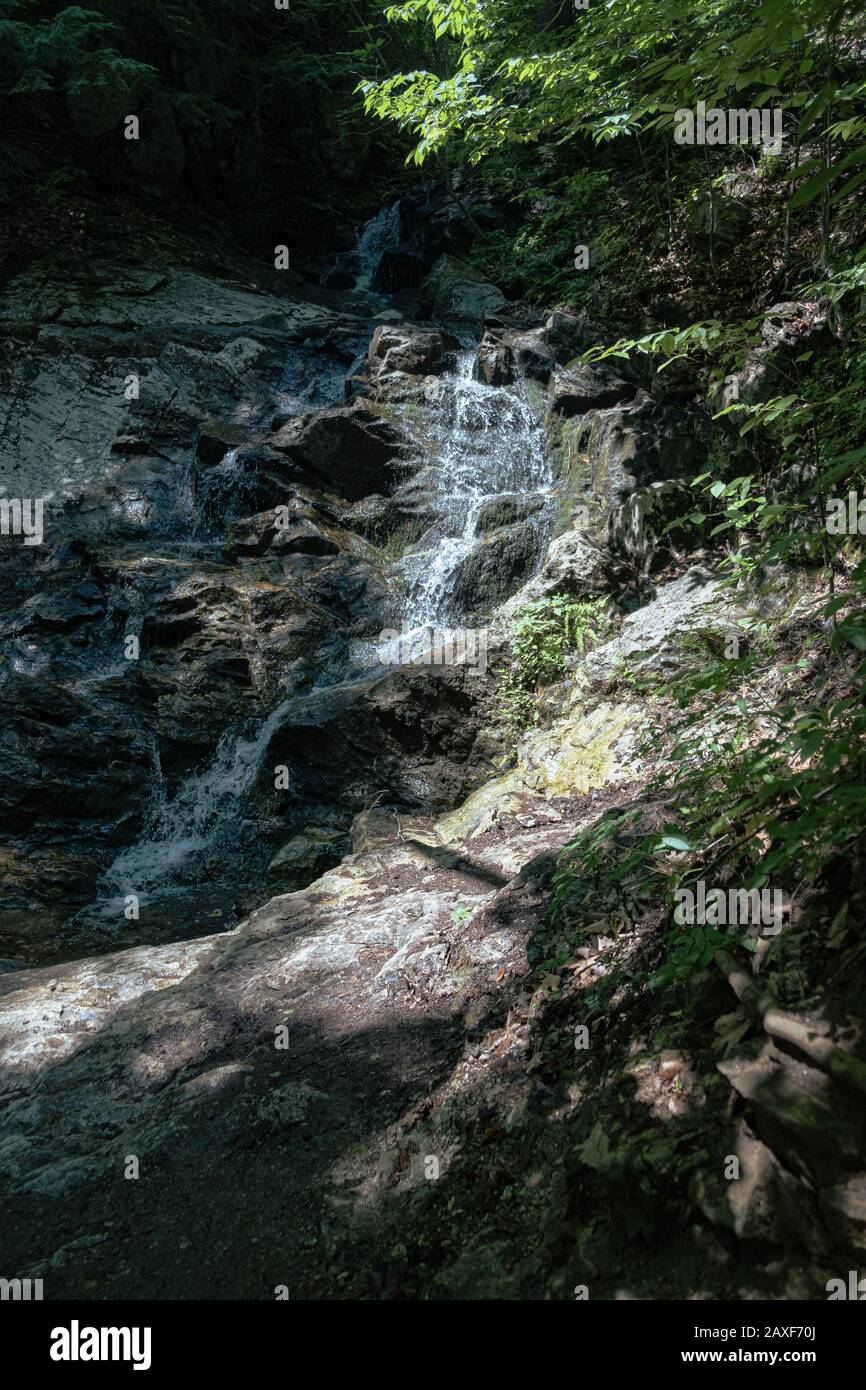 Vertical shot of a small waterfalls in the woods Stock Photo - Alamy