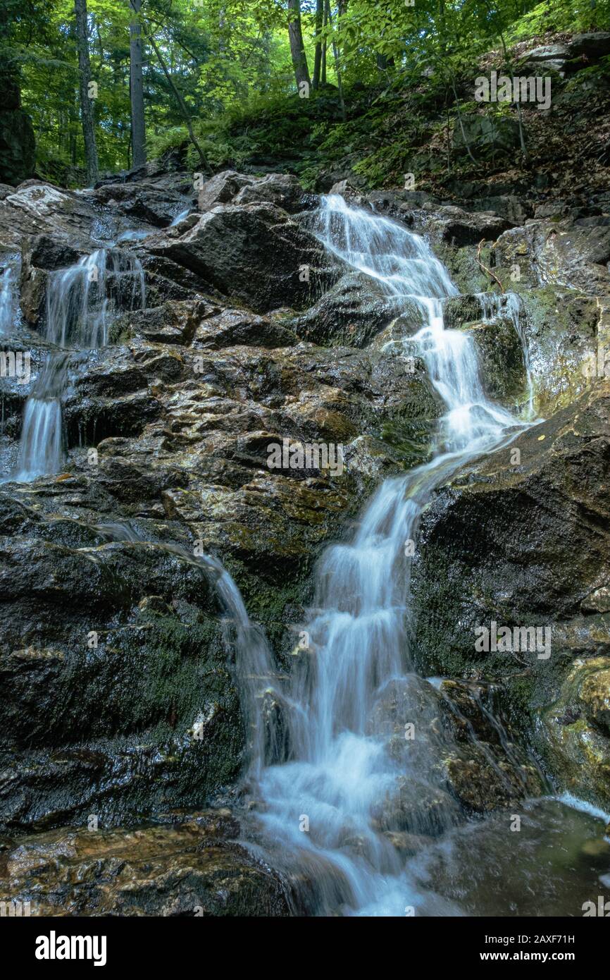 Vertical shot of a small waterfalls in the woods Stock Photo - Alamy