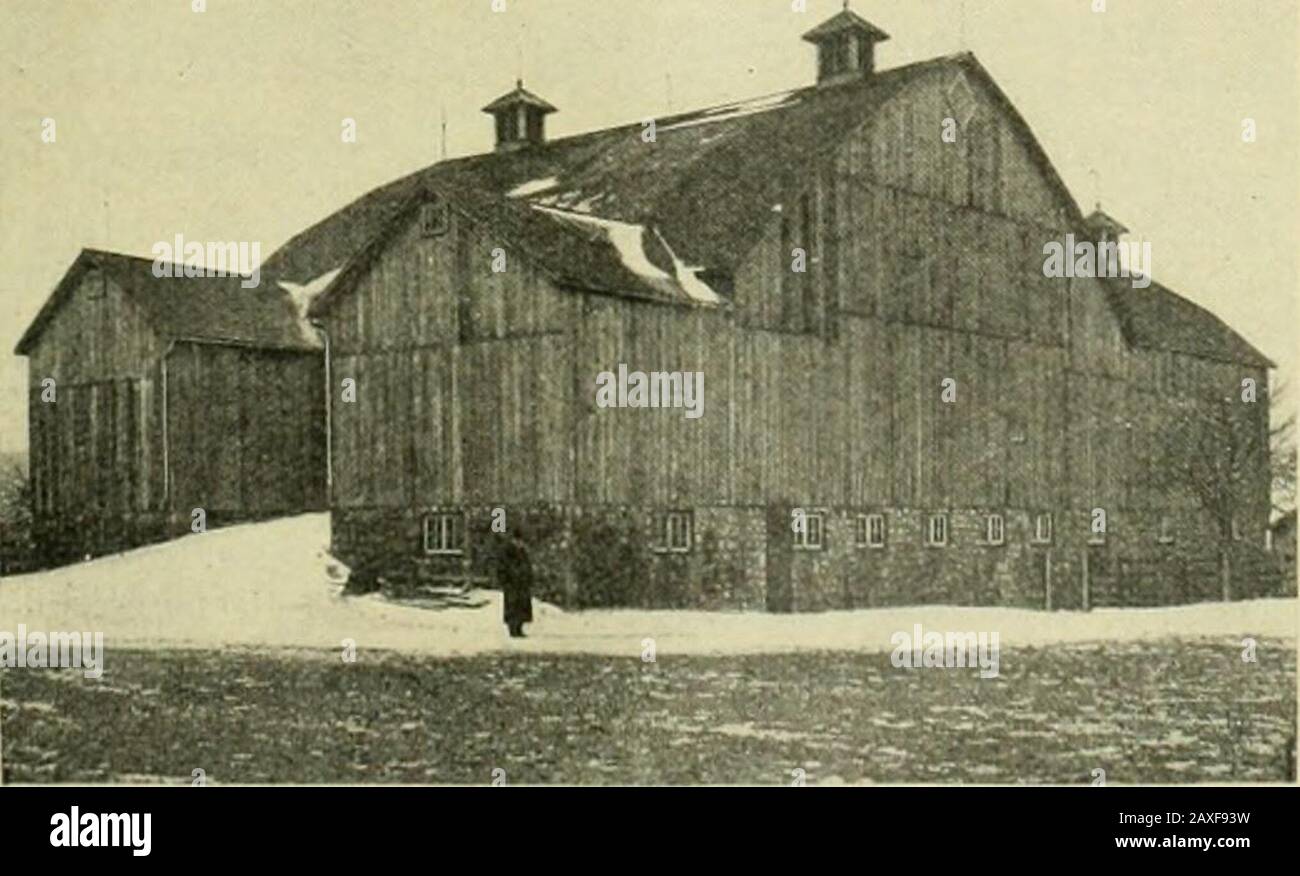 Electrical news and engineering . on the property of Miss Wilks, the wellknown breeder of high