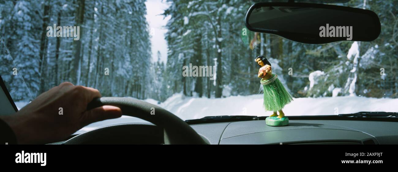 Close-up of a person's hand driving a car on a snow covered road, Yosemite National Park, California, USA Stock Photo