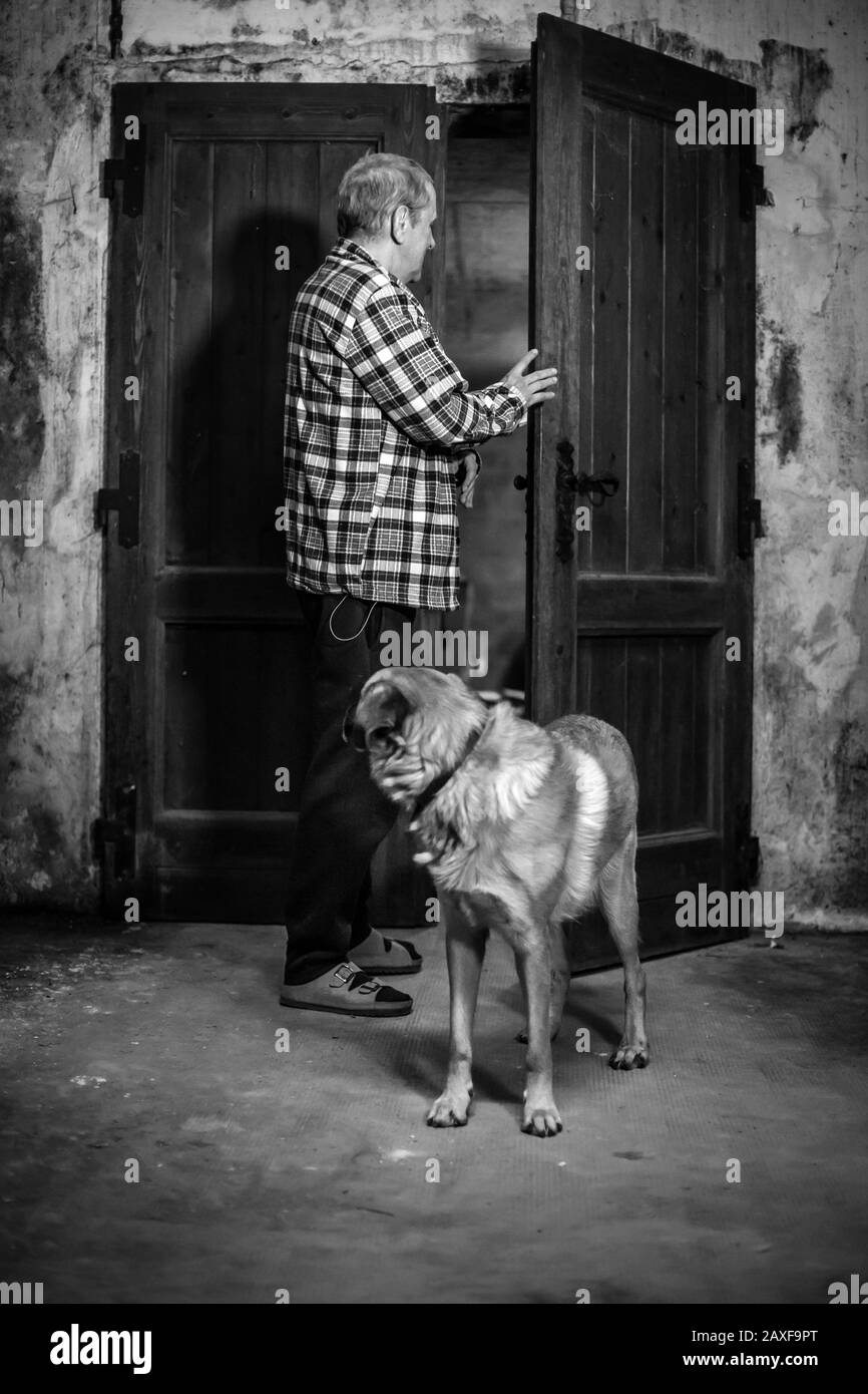 Dog opens door hires stock photography and images Alamy