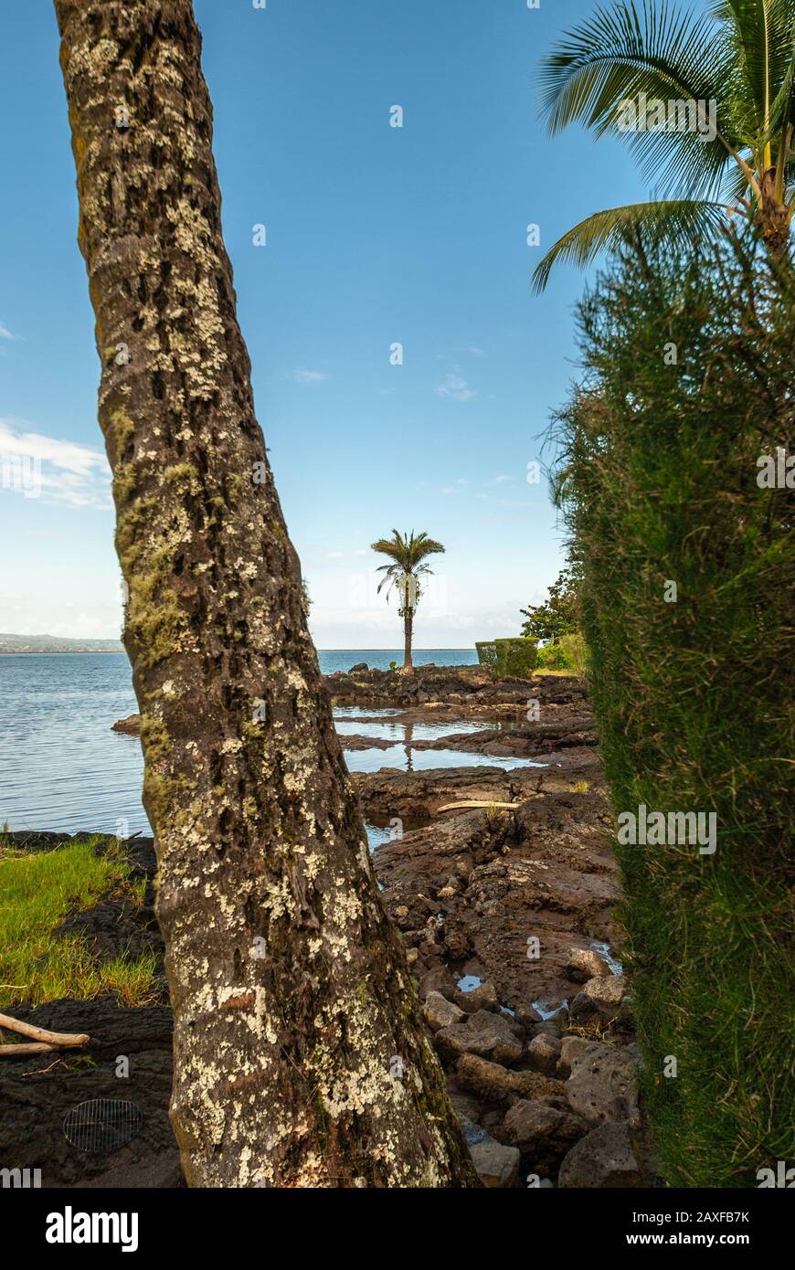 Hilo, Hawaii, USA. January 9, 2012 Coastline with rocks and green