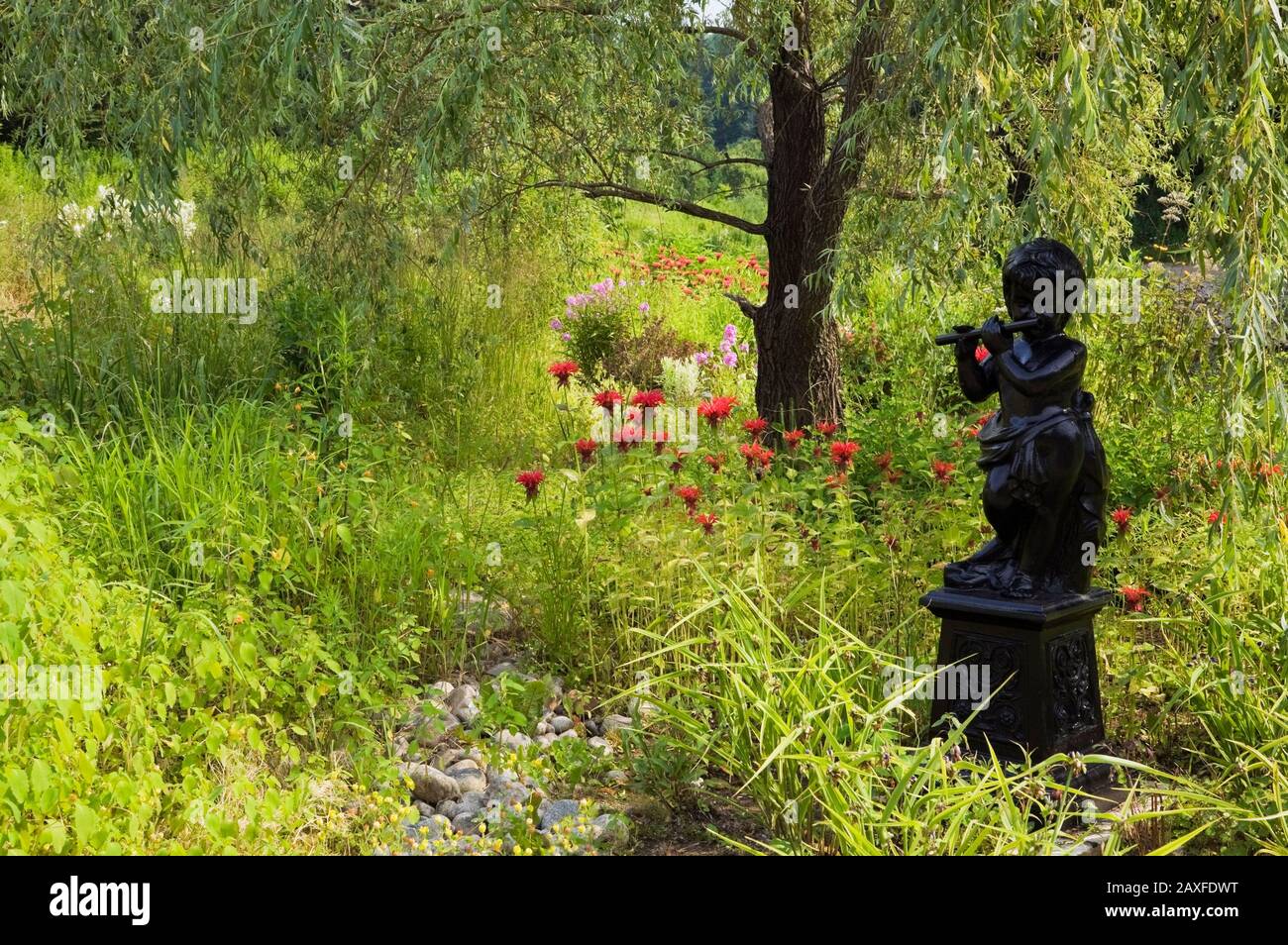 Black painted Renaissance statue of young boy playing a flute beneath a Salix alba 'Tristis' - Wilow tree underplanted with red Monarda flowers Stock Photo