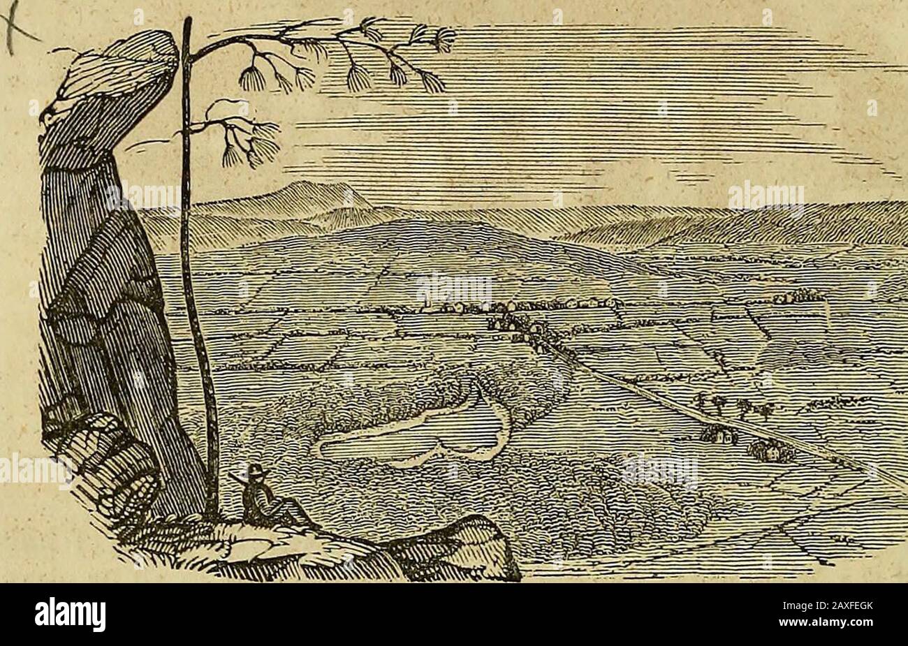 The pictorial sketch-book of Pennsylvania : or, its scenery, internal improvements, resources, and agriculture, popularly described . d the county fromthe Susquehanna in a north-east and south-west course, while theSouth Mountain, or Conewago hills, border it on the north—the dis-trict between presenting one broad basin of fertility, with numeroussubordinate elevations, rolling out one after the other, with interven-ing valleys and streams. The broad fields, when laden with theripening harvests, swell to and fro with the sweeping gales, like thedark-green waters of the ocean. Heavens ! what a Stock Photo