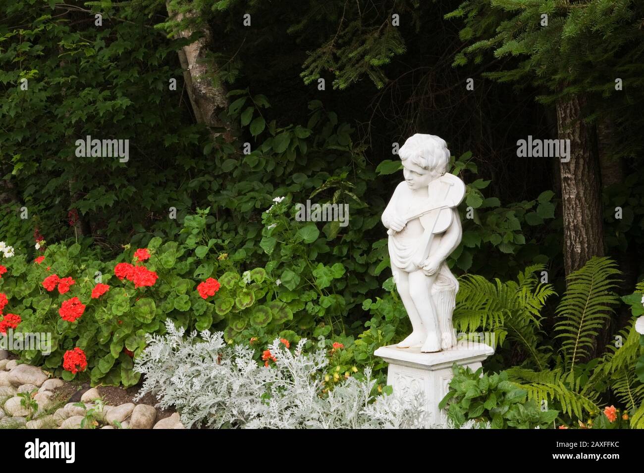 White concrete Renaissance sculpture of young man playing a violin and red Geranium 'Maverick Scarlet' flowers and Senecio cineraria - Silver Dust Stock Photo