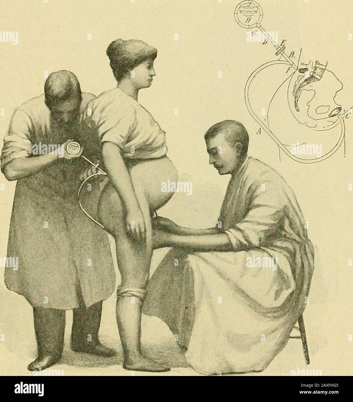 The practice of obstetrics, designed for the use of students and practitioners of medicine . gles. Some authorities* The Rontgen Rays in Medicine and Surgery, 1901, p. 378. THE EXAMINATION OF PREGNANCY. 179 have seen in cliseometry a valuable prospective resource in the differential diag-nosis of pelvic deformities, while others believe that the subject of forceps-tractionshould benefit most from increased study of the inclination. Cliseometers havebeen devised by Naegele, Rit-gen, Prochownik, and others, but no one apparatushas ever attained any considerable degree of recognition. Sources of Stock Photo