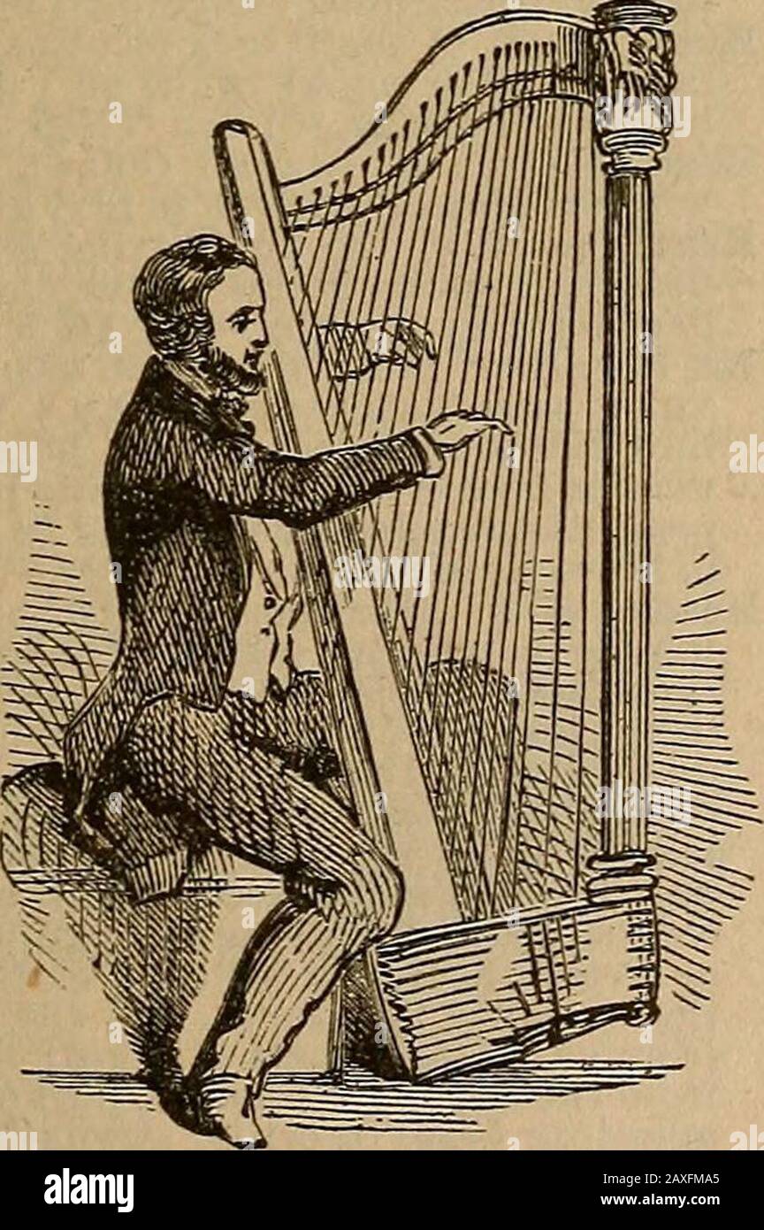 Abarbed hires stock photography and images Alamy