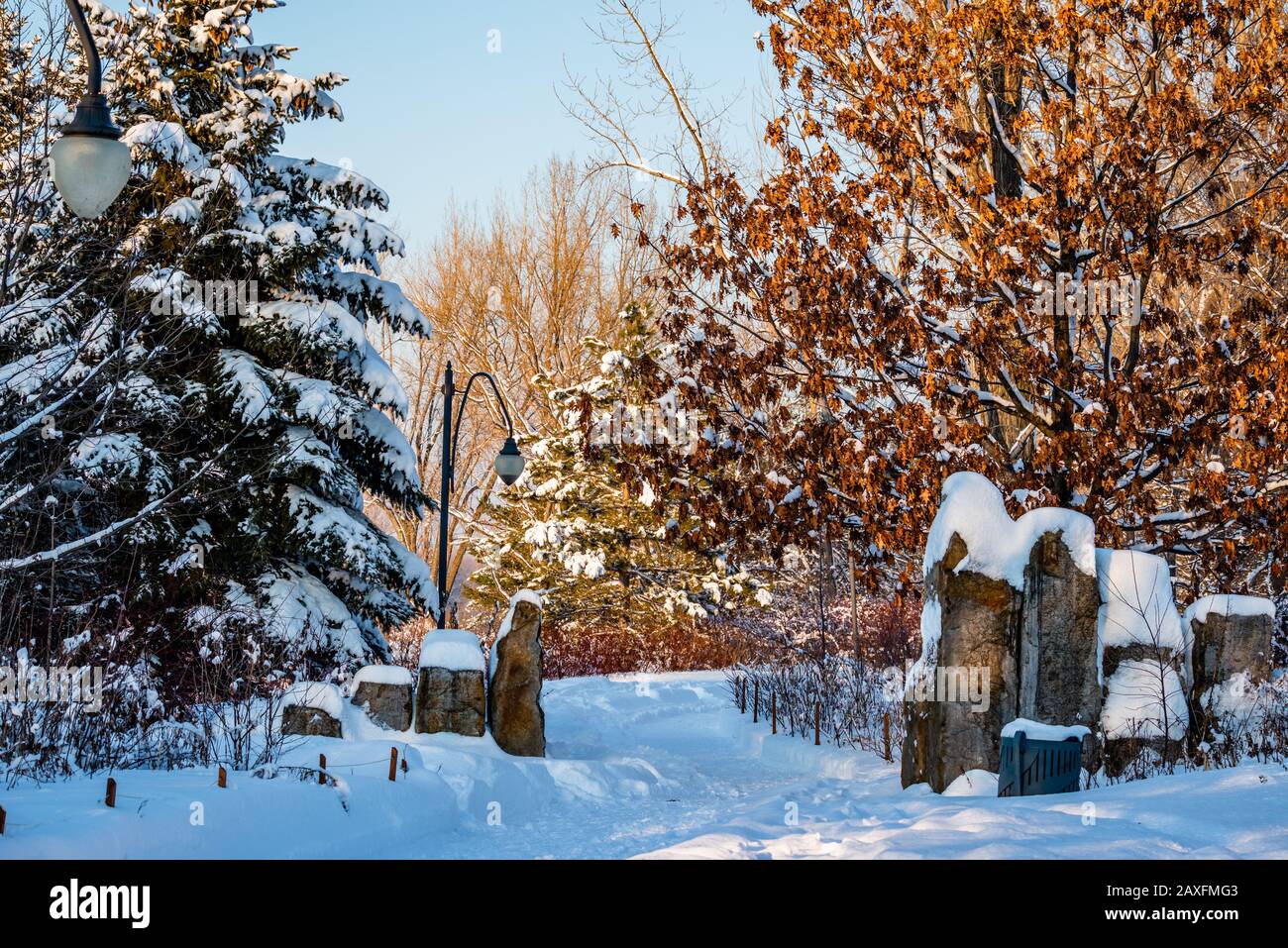 City park after the snowfall Stock Photo - Alamy