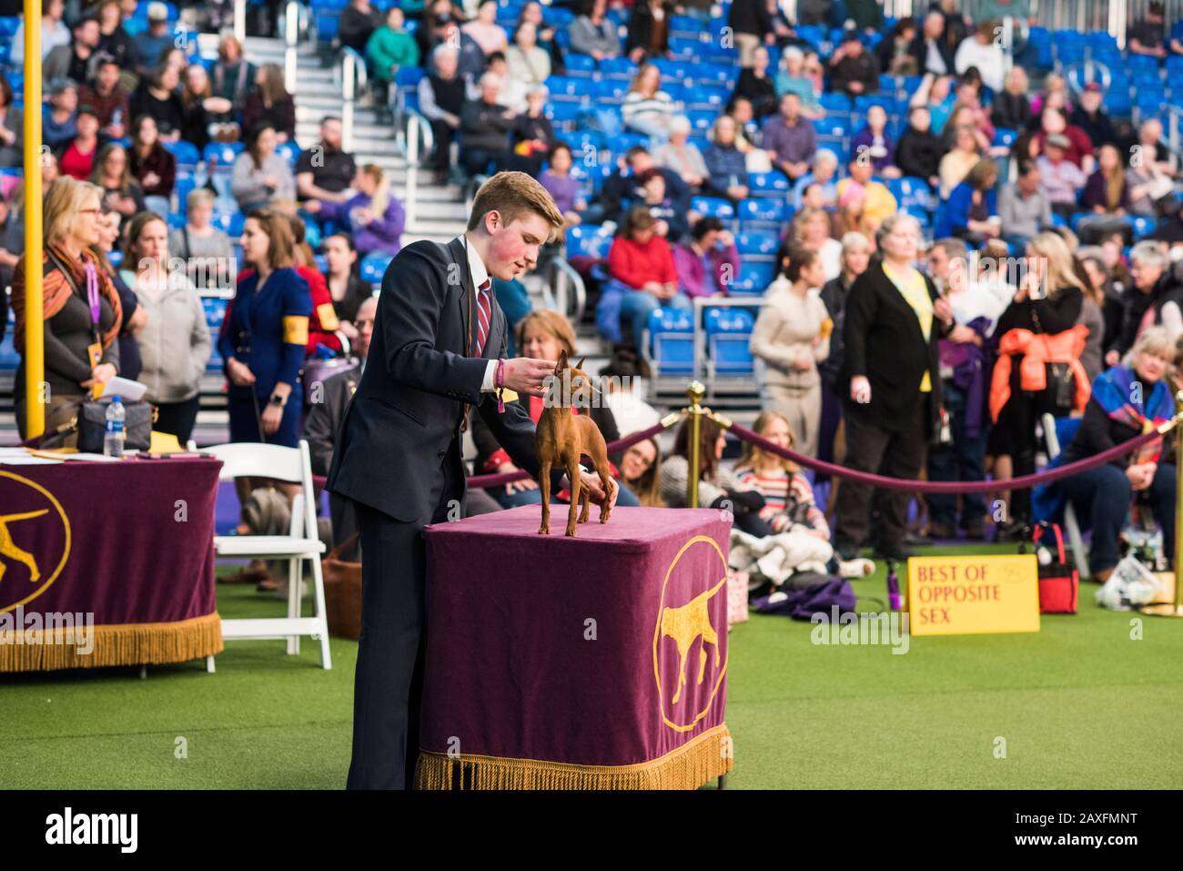 New York City, USA February 10, 2020 The 144th Westminster Kennel