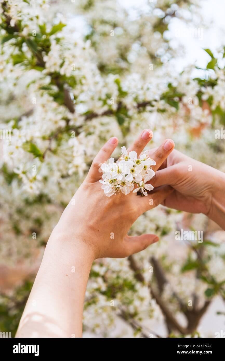 Girls Hand With Engagement Ring With Peridot Stone Stock Photo, Picture and  Royalty Free Image. Image 4794363.