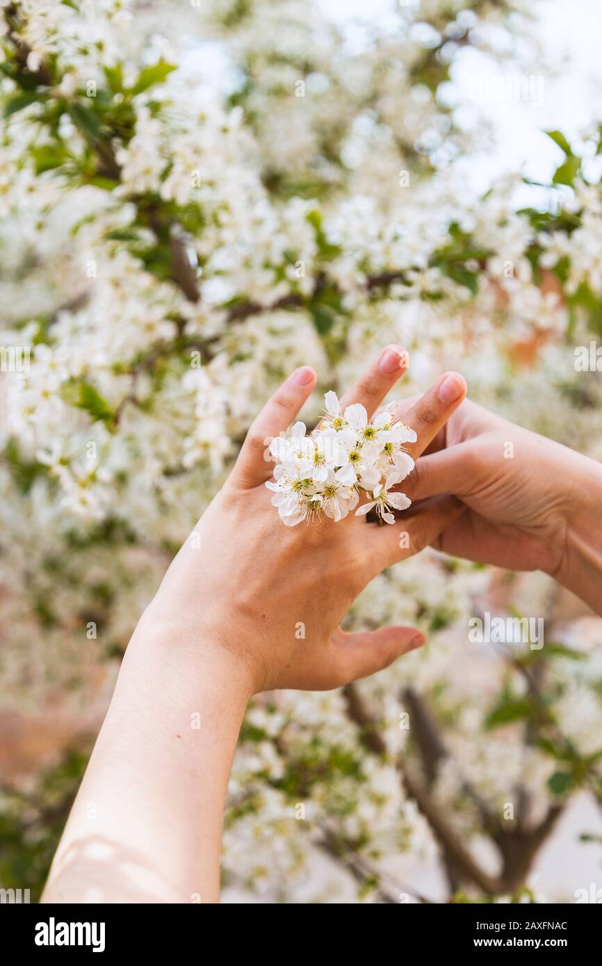 Image of A Girl Fingers Showing Her Engagement Ring-XJ098940-Picxy