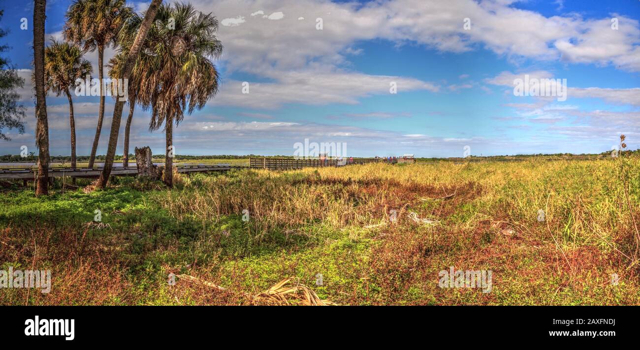 Bird watching boardwalk in the marsh of Myakka State Park in Sarasota, Florida Stock Photo Alamy