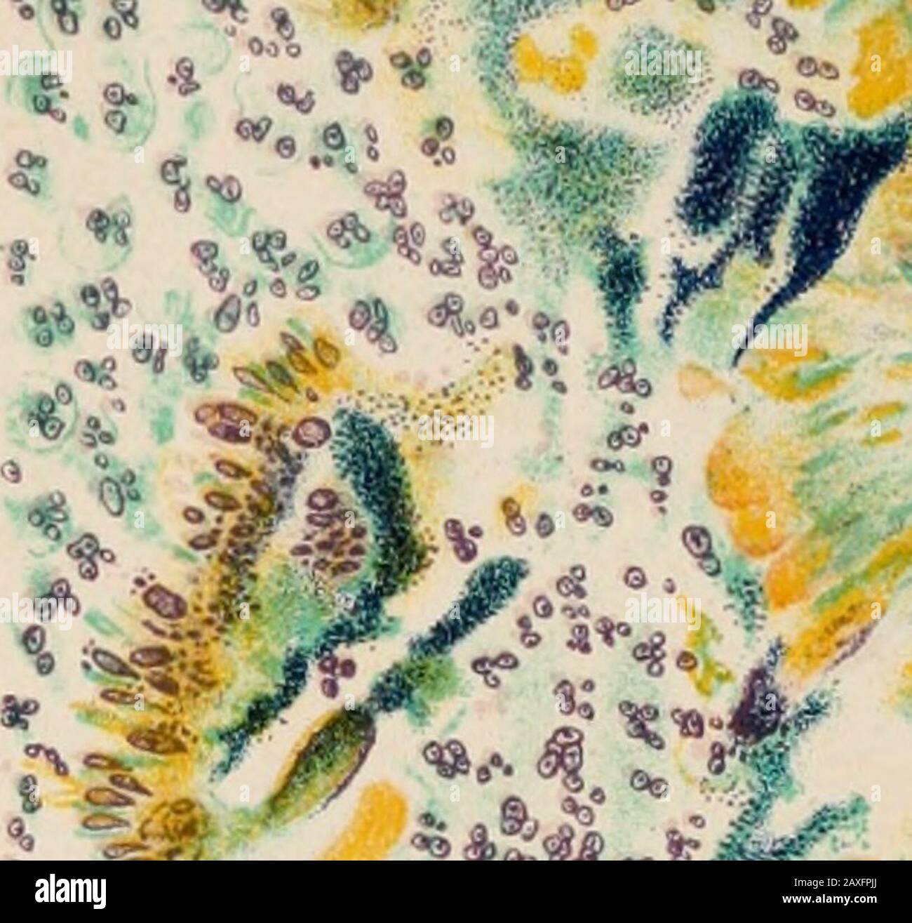Annales De L Institut Pasteur 3 O M M W R I Hg L V S O O V V R Stock Photo Alamy