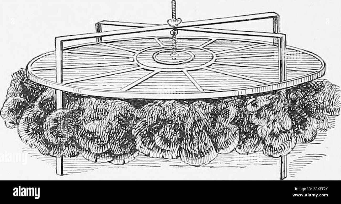 Poultry culture sanitation and hygiene . Fig. 173.—A fireless metal ...