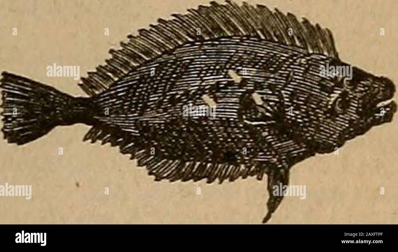 Cur cube hires stock photography and images Alamy