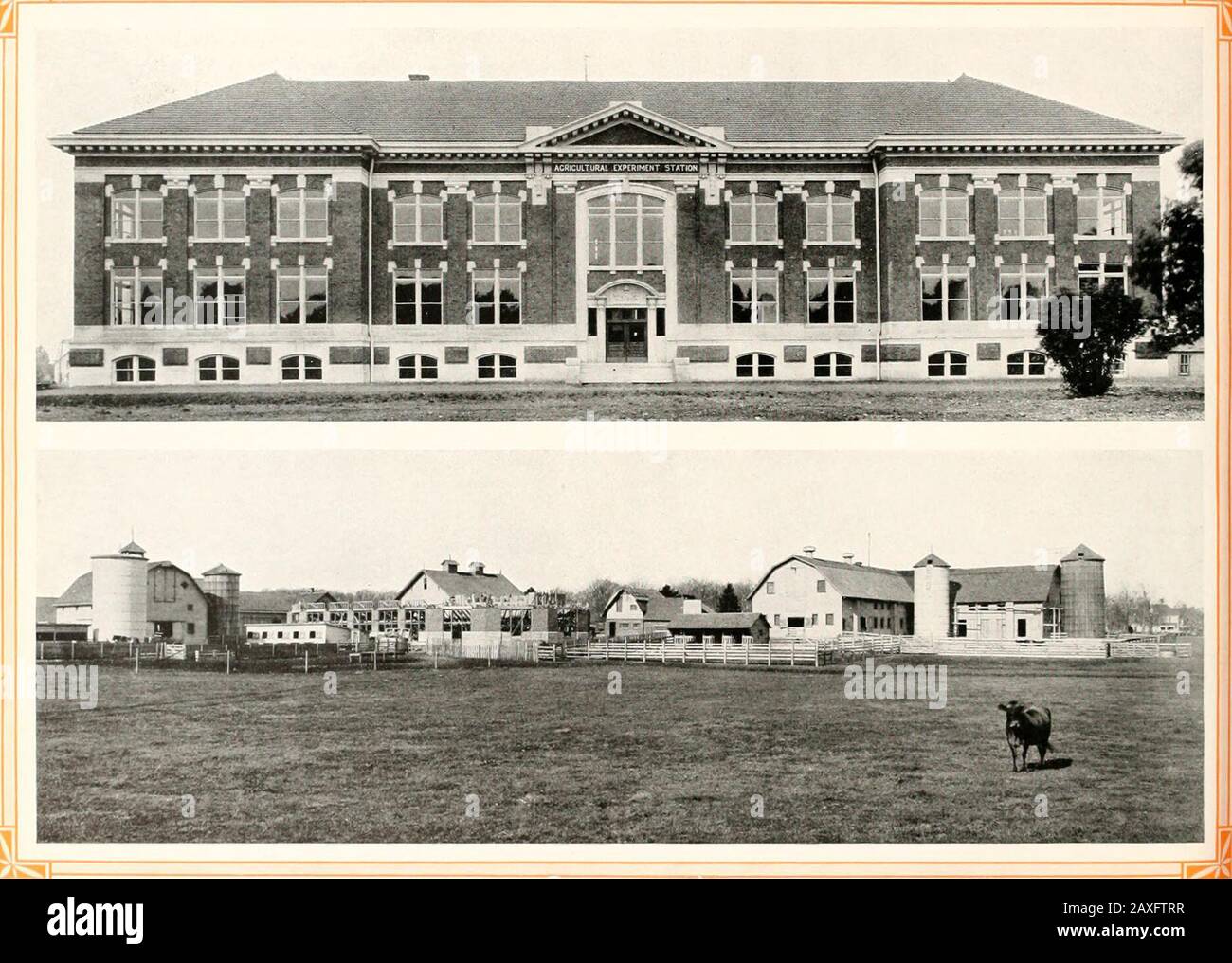 Purdue debris . George Gurth Fry. 0:^ President Edwin Forrest Cook, 04 Secretary LOCAL ASSOCIATION OF THE FALLSCITIES, LOUISVILLE. Summerville Vaughn Conner, 04 President John Emil Ulrich, 05 Secretary LOCAL ASSOCIATION OF NEW YORK. Daniel Ralph Lucas, 03 President Leslie Huxtable, 02 Secretary LOCAL EASTERN ASSOCIATION, SCHENEC-TADY. Ernest Scipio Myers, 05 President Ernest Lyle Simpson. 99 Secretary LOCAL ASSOCIATION, -WASHINGTON, D. C. John Roy Whitehead, 04 President Arthur Brigham Marsh, 07 Secretary Secretary Treasurer LOCAL ASSOCIATION OF PITTSBURG. Harold Whitcomb Cope, 98 President Fr Stock Photo