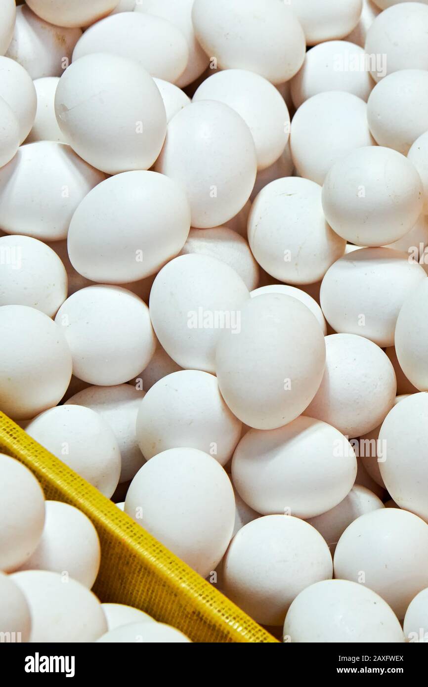 Close-up of a heap unsorted white eggs in a tray for sale in wet market in Iloilo, Philippines, Asia. Eggs are naturally dirty and slightly damaged Stock Photo