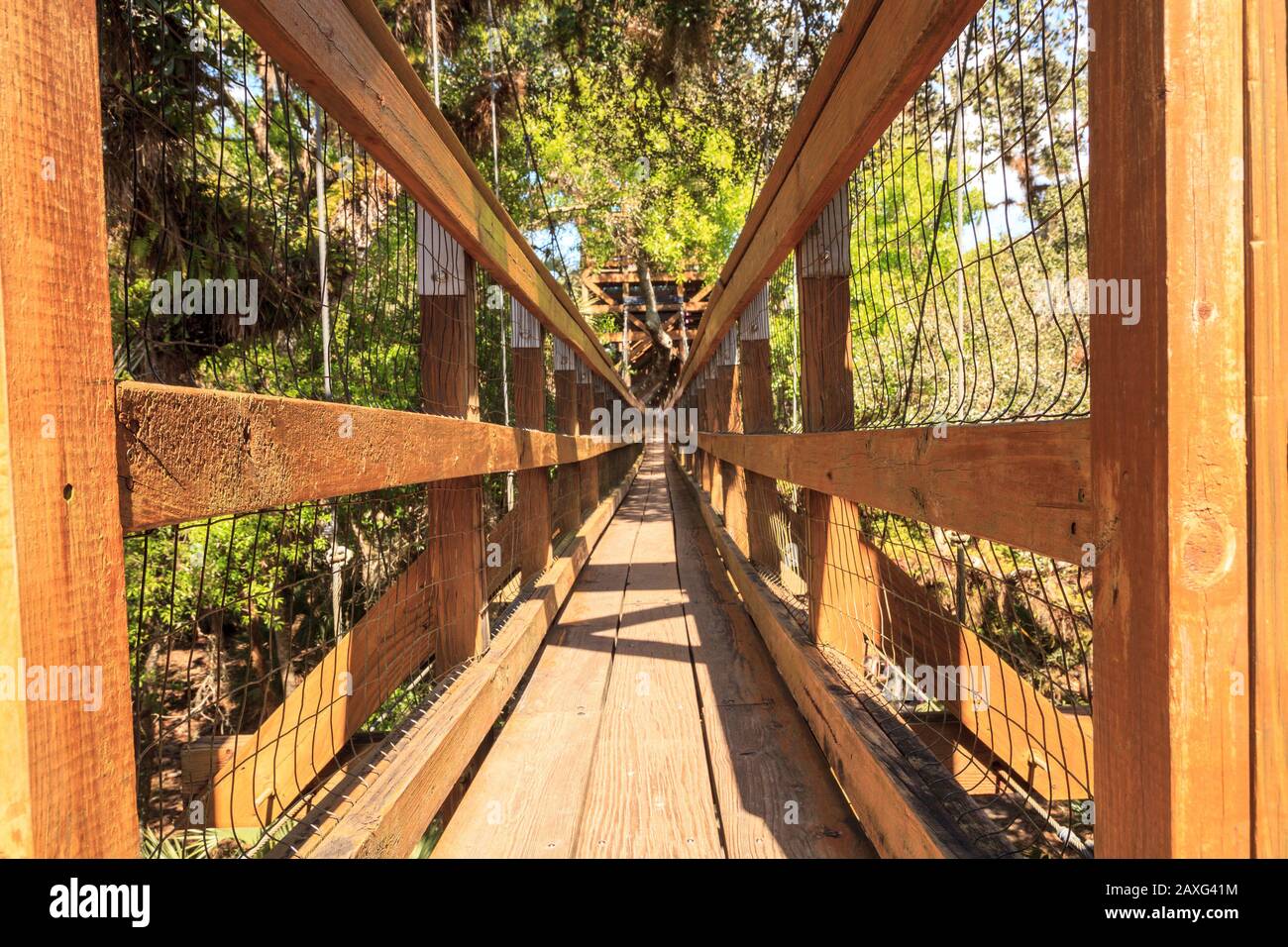 Tower, bridge, and Bird watching walkway boardwalk in Myakka State Park in Sarasota, Florida