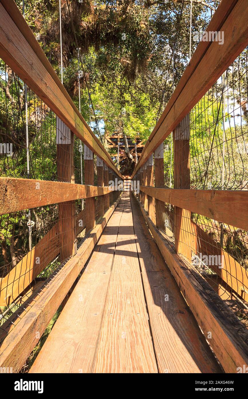 Tower, bridge, and Bird watching walkway boardwalk in Myakka State Park in Sarasota, Florida