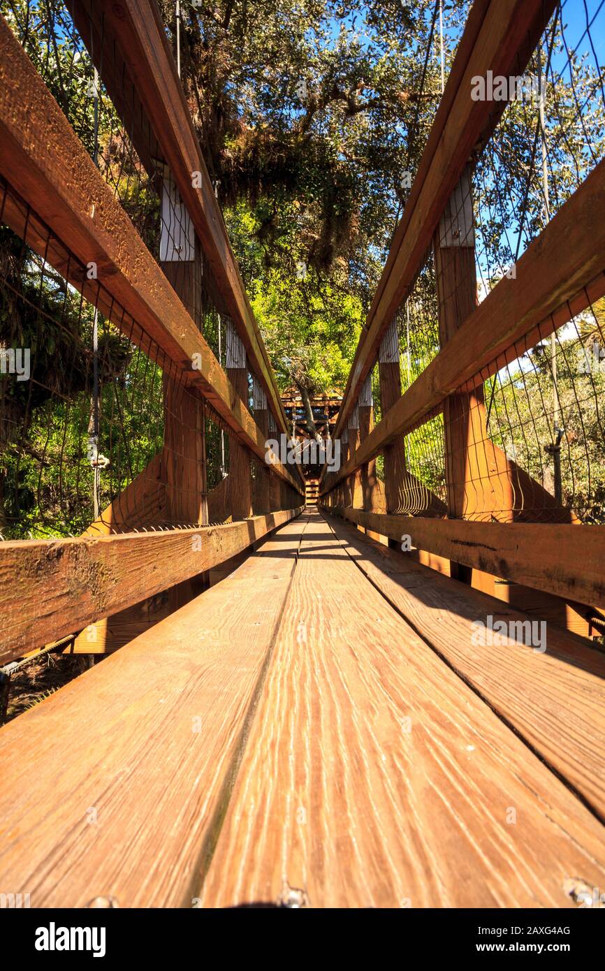 Tower, bridge, and Bird watching walkway boardwalk in Myakka State Park in Sarasota, Florida